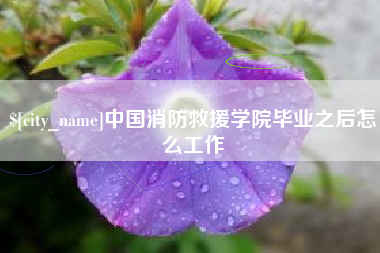 简阳中国消防救援学院毕业之后怎么工作