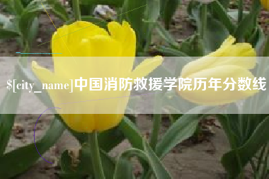 简阳中国消防救援学院历年分数线