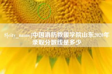 简阳中国消防救援学院山东2020年录取分数线是多少