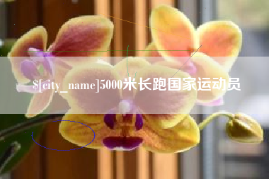 简阳5000米长跑国家运动员