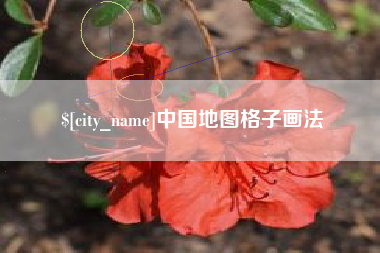 简阳中国地图格子画法