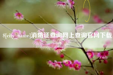 简阳消防证查询网上查询官网下载