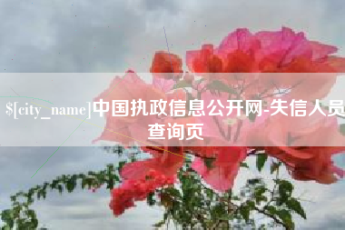 简阳中国执政信息公开网-失信人员查询页
