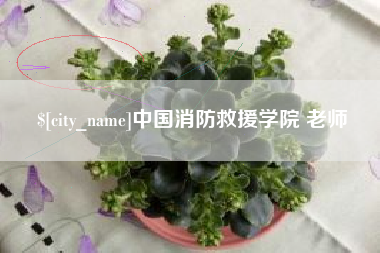 简阳中国消防救援学院 老师