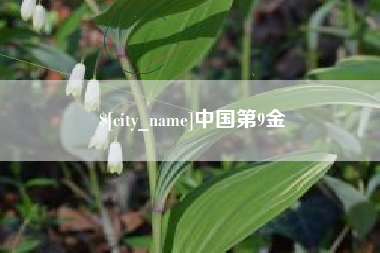 简阳中国第9金