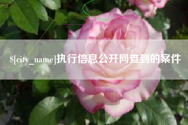 简阳执行信息公开网查到的案件