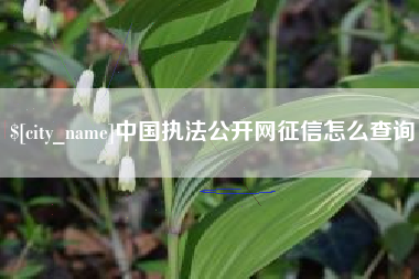 简阳中国执法公开网征信怎么查询