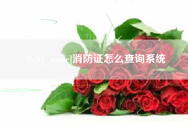 简阳消防证怎么查询系统