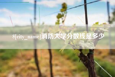 简阳消防大学分数线是多少