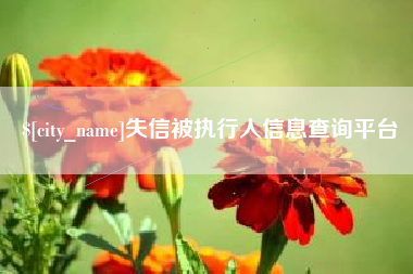 简阳失信被执行人信息查询平台