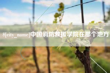 简阳中国消防救援学院在那个地方