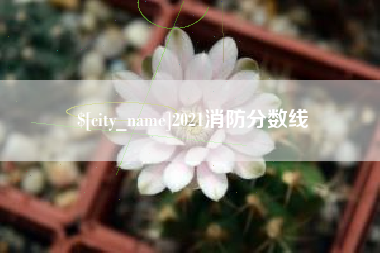 简阳2021消防分数线