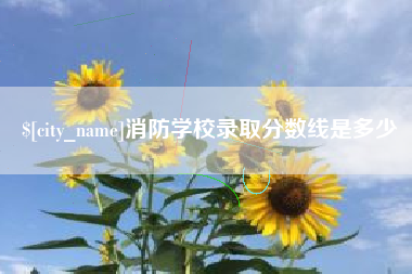 简阳消防学校录取分数线是多少