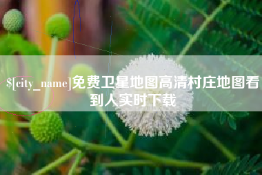 简阳免费卫星地图高清村庄地图看到人实时下载