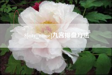 简阳九宫排盘方法
