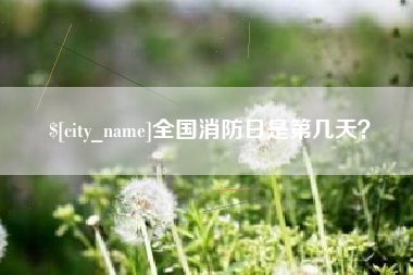 简阳全国消防日是第几天？
