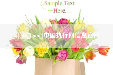简阳中国执行网信息官网