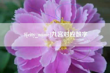 简阳九宫对应数字