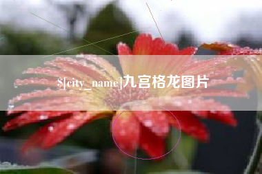 简阳九宫格龙图片