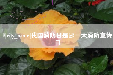 简阳我国消防日是哪一天消防宣传日