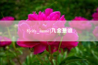 简阳九金是谁