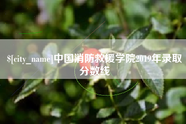 简阳中国消防救援学院2019年录取分数线