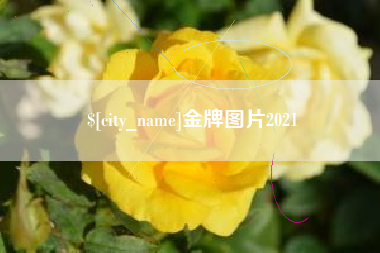 简阳金牌图片2021