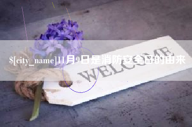 简阳11月9日是消防安全日的由来