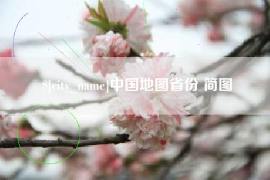 简阳中国地图省份 简图