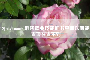 简阳消防职业技能证书查询以前能查现在查不到