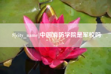 简阳中国消防学院是军校吗