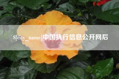 简阳中国执行信息公开网后