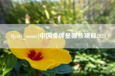 简阳中国金牌是哪些项目2021