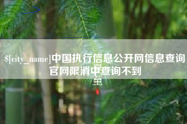 简阳中国执行信息公开网信息查询官网限消中查询不到