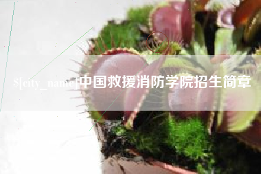 简阳中国救援消防学院招生简章