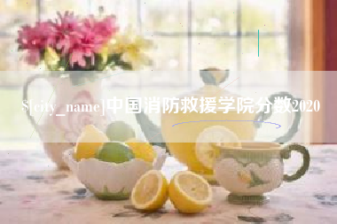 简阳中国消防救援学院分数2020