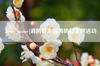 简阳消防日全国消防日主题活动