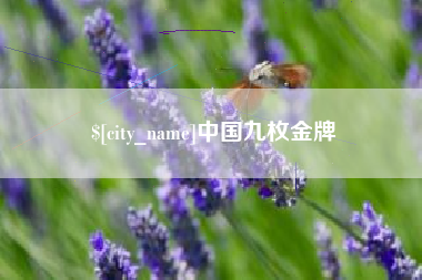 简阳中国九枚金牌