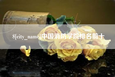 简阳中国消防学院排名前十