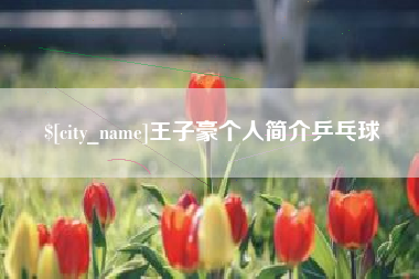 简阳王子豪个人简介乒乓球