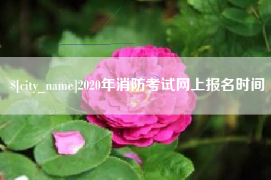 简阳2020年消防考试网上报名时间