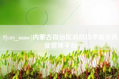简阳内蒙古自治区消防技术服务执业管理平台