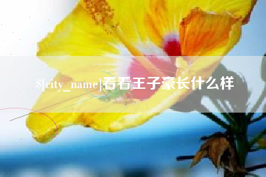 简阳看看王子豪长什么样