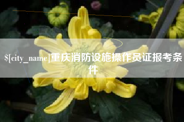 简阳重庆消防设施操作员证报考条件
