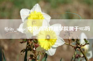 简阳中国消防救援学院属于985吗