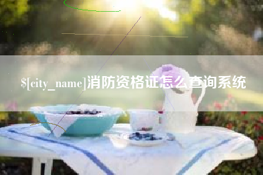 简阳消防资格证怎么查询系统
