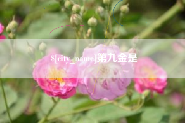 简阳第九金是