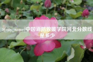 简阳中国消防救援学院河北分数线是多少
