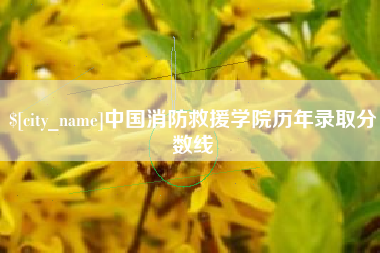 简阳中国消防救援学院历年录取分数线
