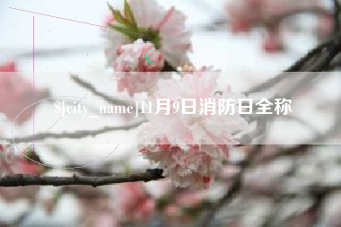 简阳11月9日消防日全称